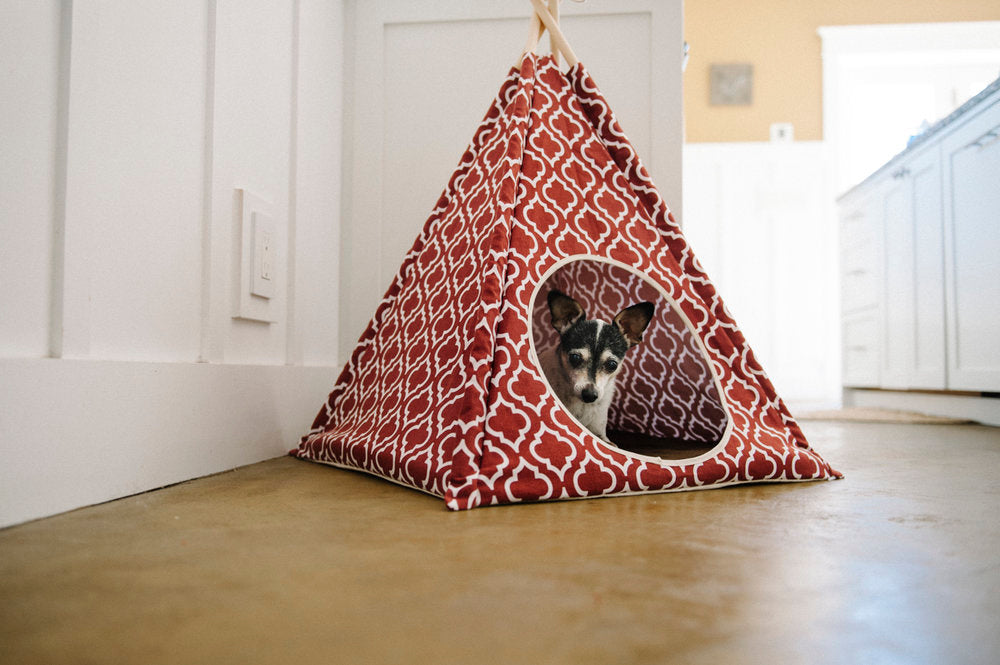 P.L.A.Y Pet Teepee | Moroccan Navy | Peticular