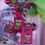 Dr. Seuss' The Grinch | Cat Collar & Bow Tie