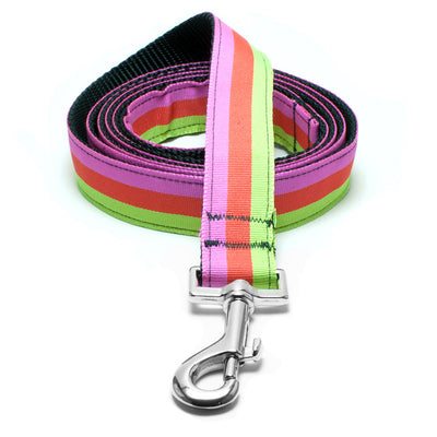 Green/Orange/Pink Tri-Stripe Dog Lead - Peticular