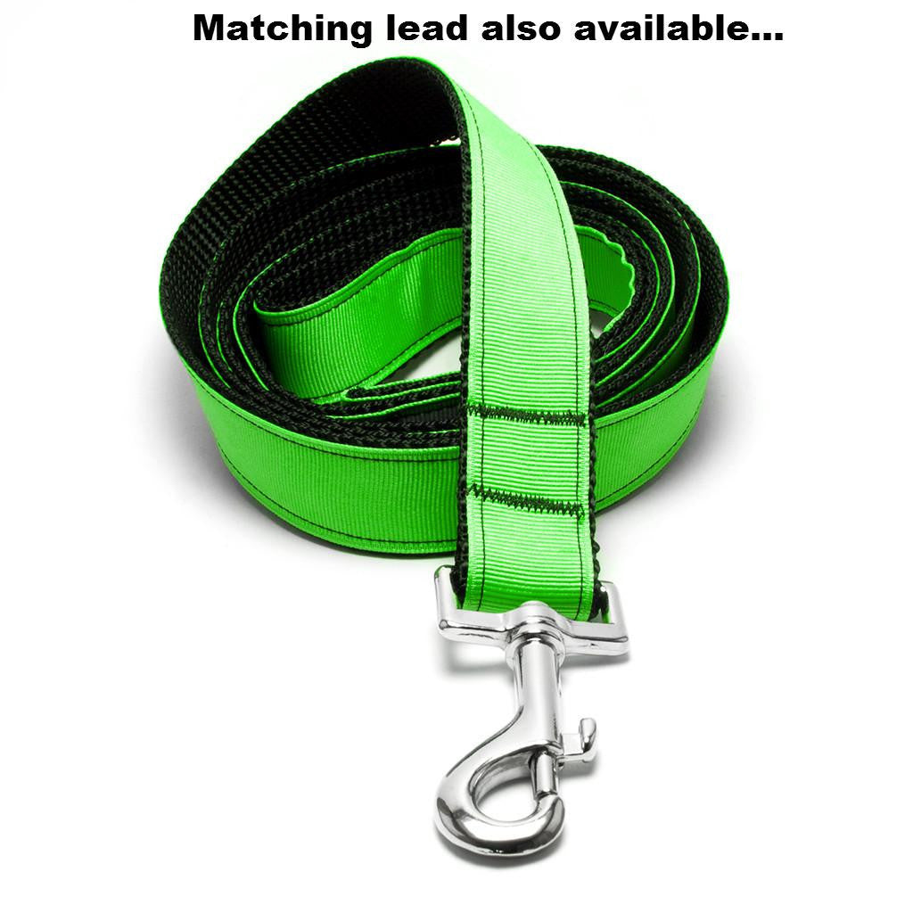 Neon Green Dog Collar - Peticular