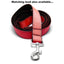 Real Red Dog Collar - Peticular