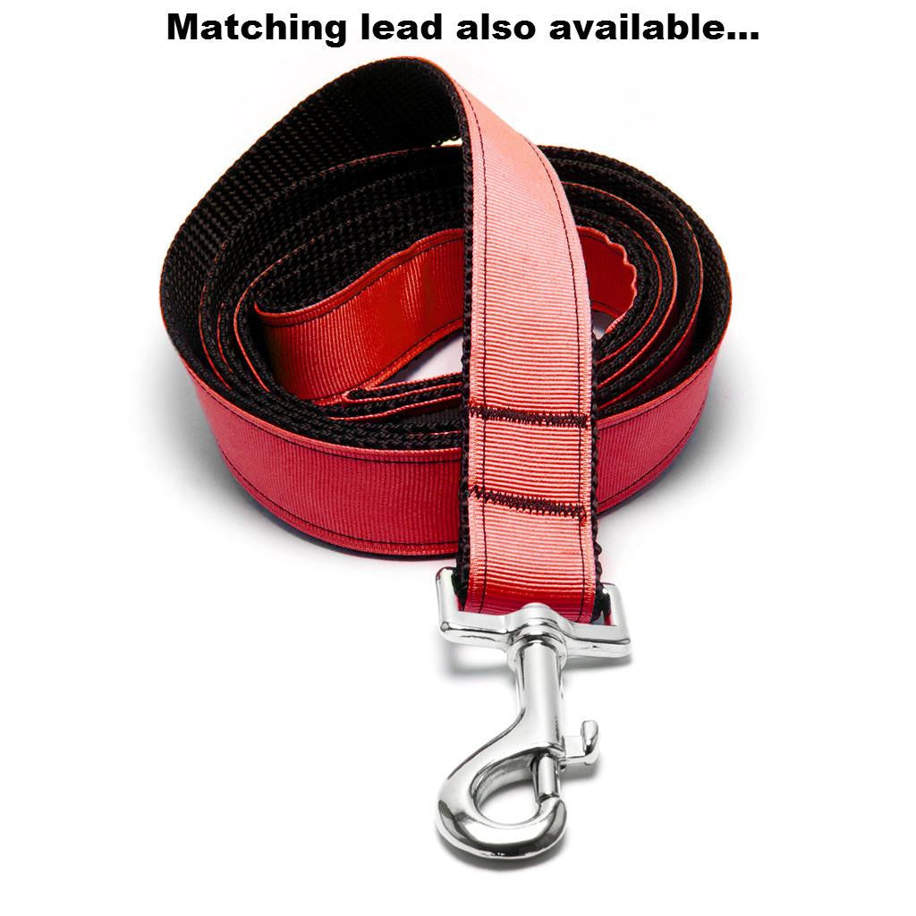 Real Red Dog Collar - Peticular