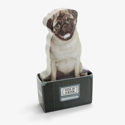 Outliving Sticky Notes | Dog In A Box | Peticular