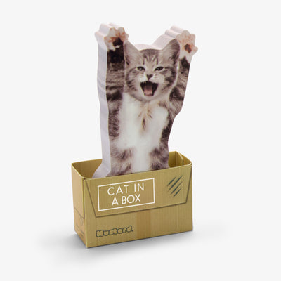 Outliving Sticky Notes | Cat In A Box | Peticular