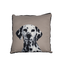 Throw Cushion | Dalmatian - Peticular