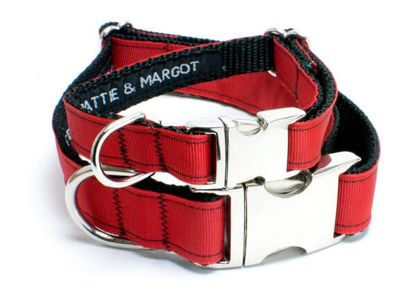 Real Red Dog Collar - Peticular