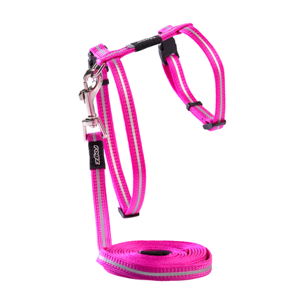 Rogz AlleyCat Harness & Lead Set | Peticular