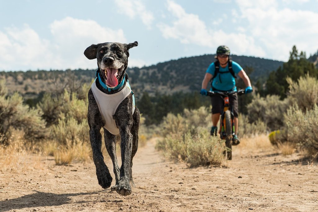 Ruffwear Jet Stream Cooling Vest | Peticular