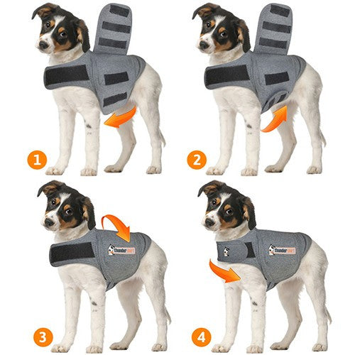 ThunderWorks ThunderShirt | Dog Anxiety Vest | Peticular