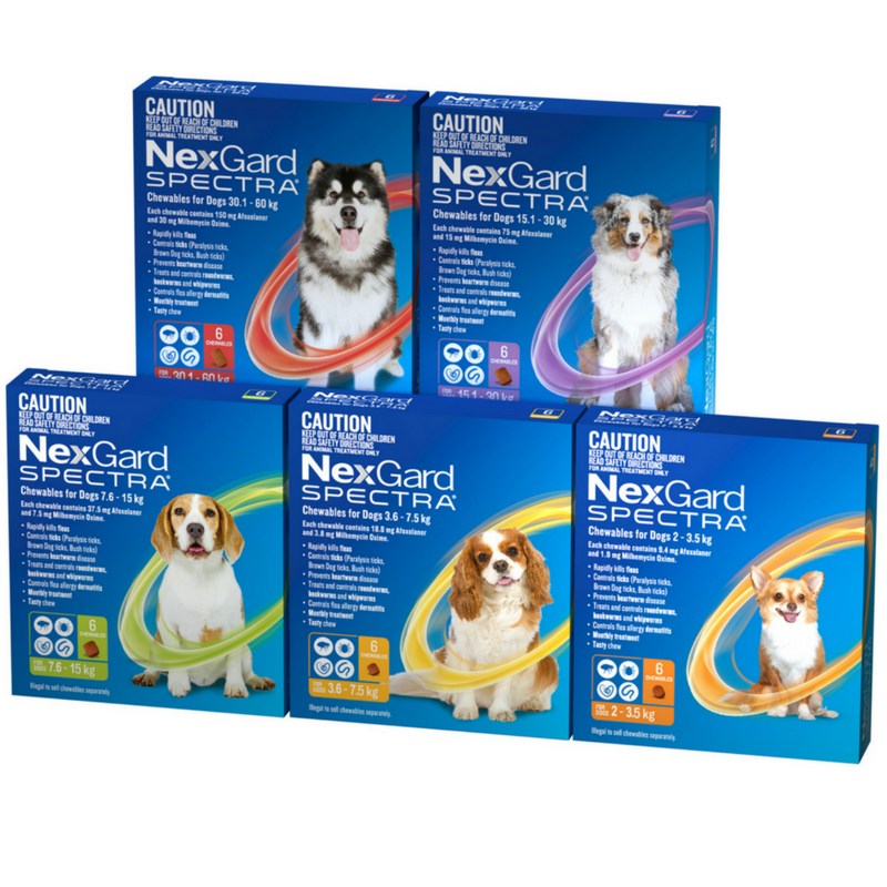 Merial NexGard Spectra Chewables | 3 Pack | Peticular